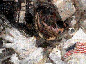 Astronaut Jim Reilly Mosaic