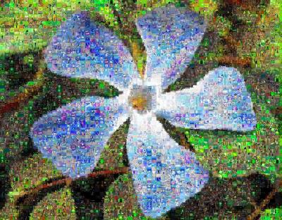 Flower Mosaic